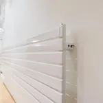 Fermin - Iberorent Saint-Sébastien