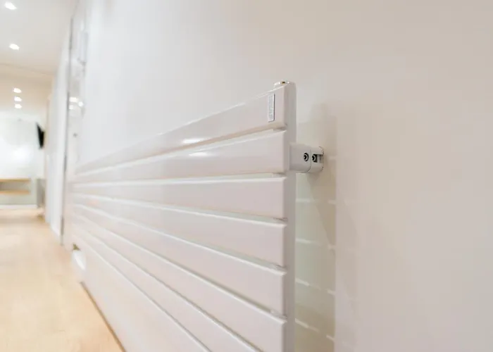 Fermin - Iberorent San Sebastián